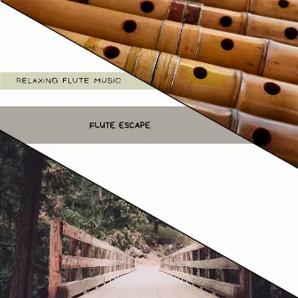 Flute Escape: Peaceful Moments Collection by Relaxing Flute Music