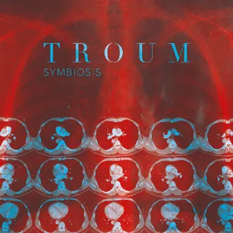 Symbiosis by Troum