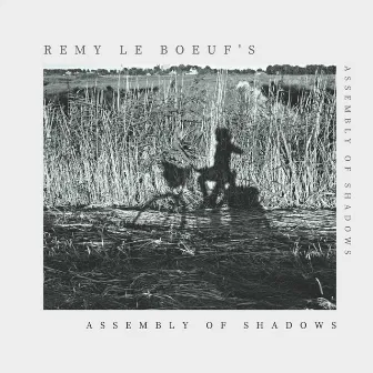 Assembly of Shadows by Remy Le Boeuf