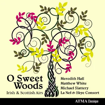 O Sweet Woods Irish & Scottish Airs by Michael Slattery