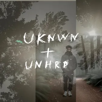 Unkown and Unheard by ItsJussCam