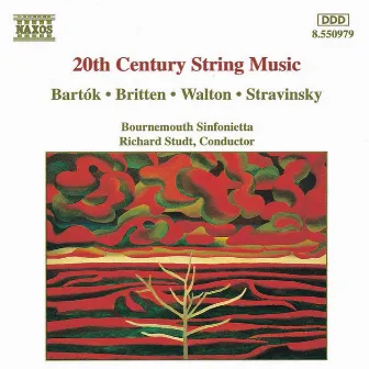 20th Century String Music by Richard Studt