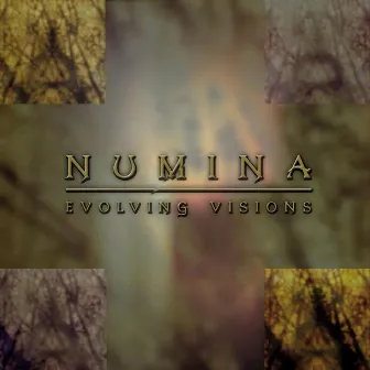 Evolving Visions by Numina