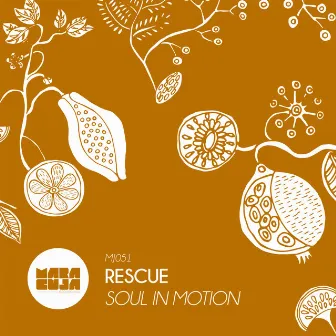 Soul in Motion by Rescue