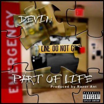 Part Of Life by Devin