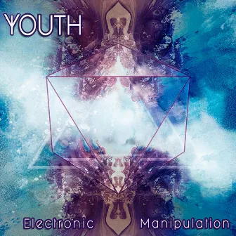 Electronic Manipulation by Youth