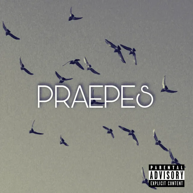 Praepes