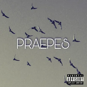 Praepes by YIRAL MCFLY