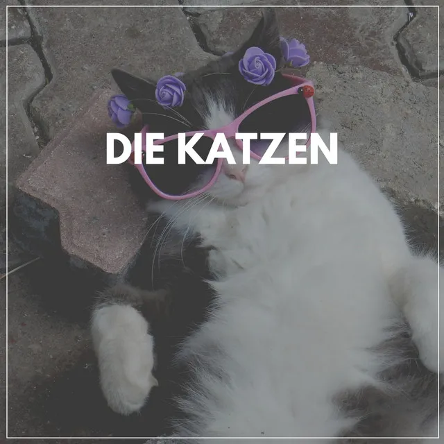 Die Katzen