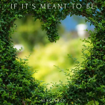 If It's Meant To Be by Macaro