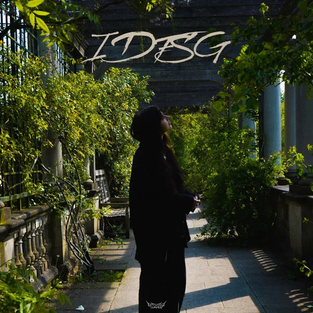 IDFSG