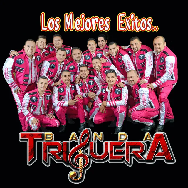 Los Mejores Exitos (Edited) (Banda)