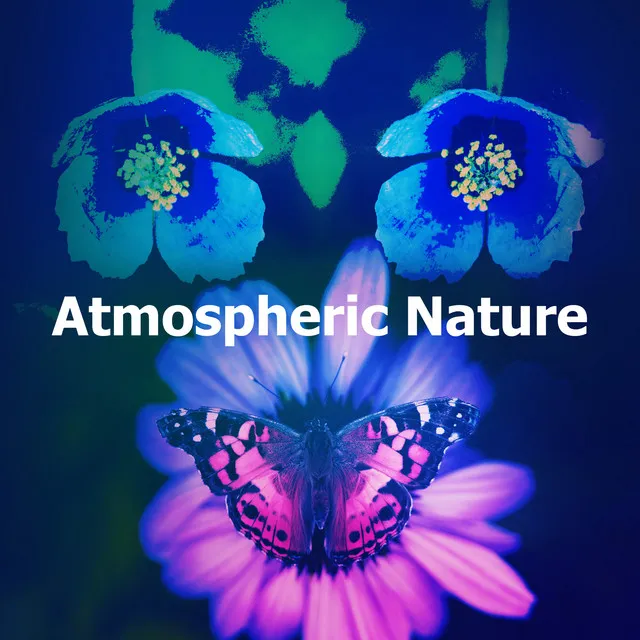 Atmospheric Nature