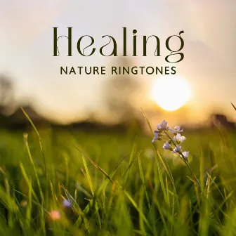 Healing Nature Ringtones: Stress Free Therapy, Stress Relieving, Better Mood by Ann Matia