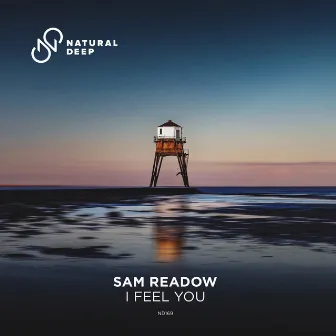 I Feel You by Sam Readow