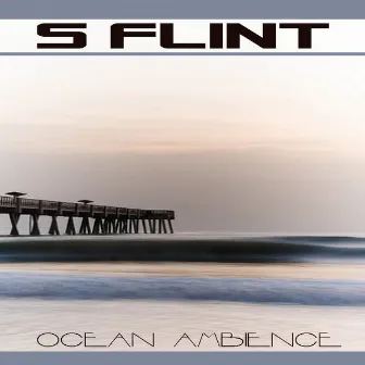 Ocean Ambience by S Flint