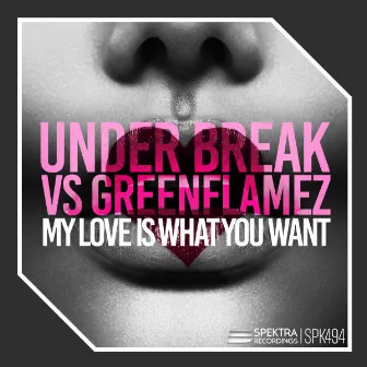 My Love Is What You Want by Under Break