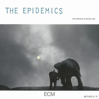 The Epidemics by Caroline