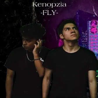 Fly by Kenopzia