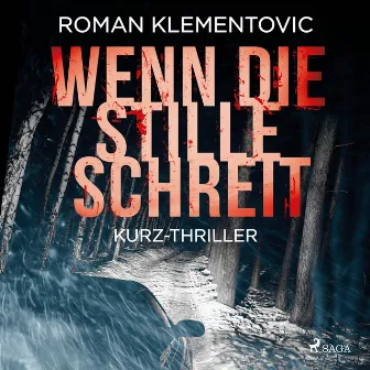 Wenn die Stille schreit by Roman Klementovic