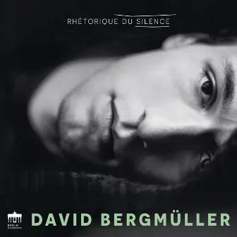 Rhétorique du Silence by David Bergmüller