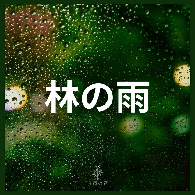 林の雨 (03)