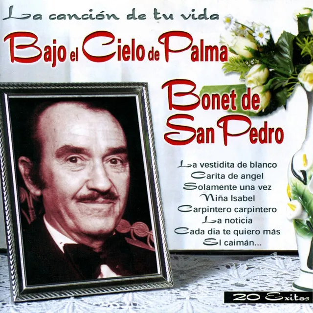 Bajo el Cielo de Palma (La Canción de Tu Vida)