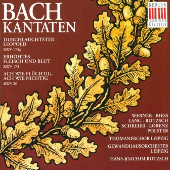 Johann Sebastian Bach: Cantatas - BWV 26, 173, 173a (Rotzsch) by Unknown Artist