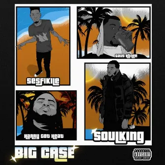 Big case by Soulking