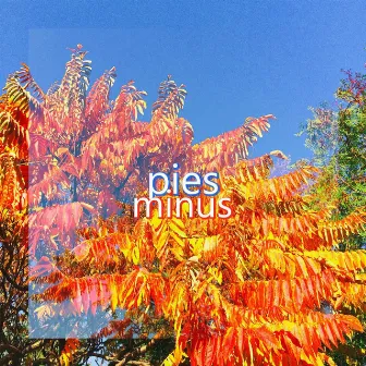 Minus by pies