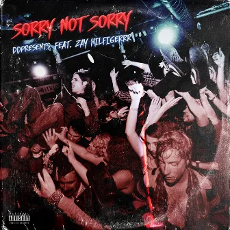 Sorry Not Sorry by Zay Hilfigerrr