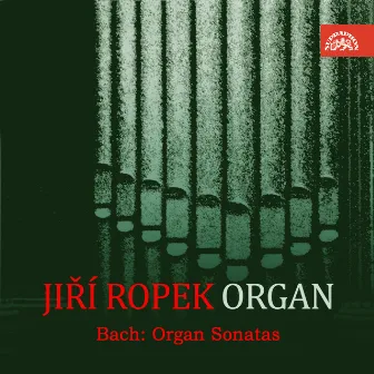 Bach: Organ Sonatas (BWV 525 & 526) by Jiri Ropek