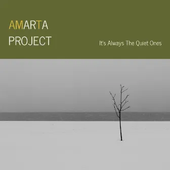 It's Always The Quiet Ones by Amarta Project