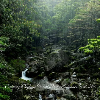 Calming Daytime Forest Rain Ambiance Vol. 2 by Breastfeeding Music