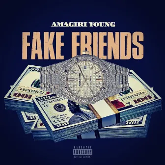 Fake Friends by Amagiri Young