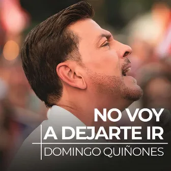 No Voy a Dejarte Ir by Domingo Quiñones