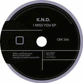 I Miss You by K.N.D.