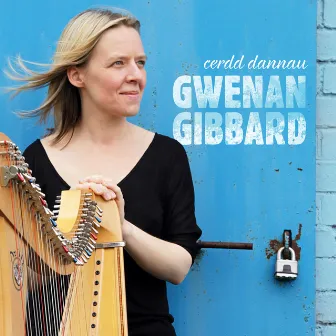 Cerdd Dannau by Gwenan Gibbard