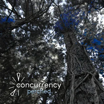 Perched by Concurrency