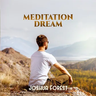 Meditation Dream by Joshua Forest