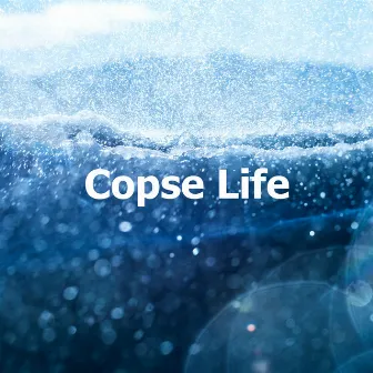 Copse Life by The Relaxing Sounds of Swedish Nature