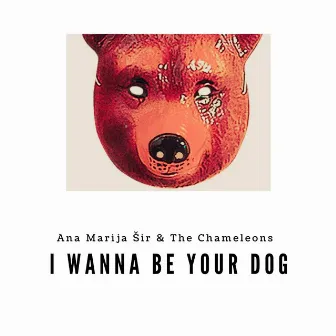 I Wanna Be Your Dog by Ana Marija Šir