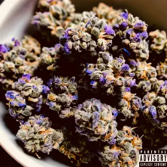 Purple by Jordan the Poet