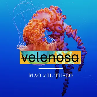 Velenosa by Mao