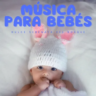 Música para Bebés: Dulce Serenata del Bosque by Sonidos de bebé dormido para bebés