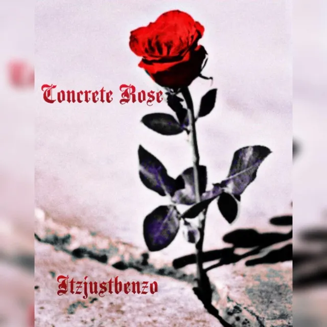 Concrete Rose