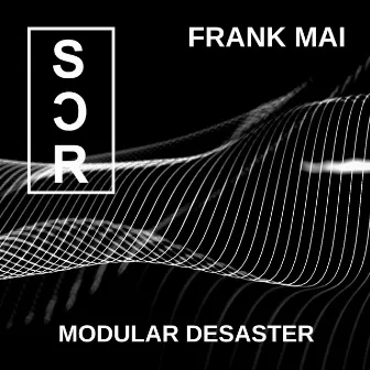 Modular Desaster by FRANK MAI