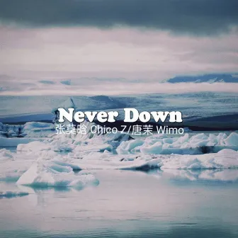 Never Down by 