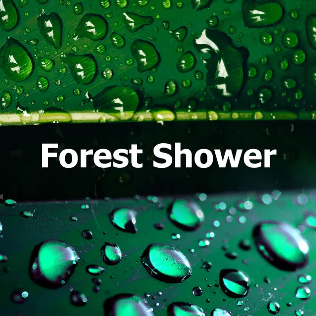 Forest Shower