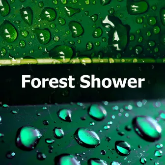 Forest Shower by Unknown Artist